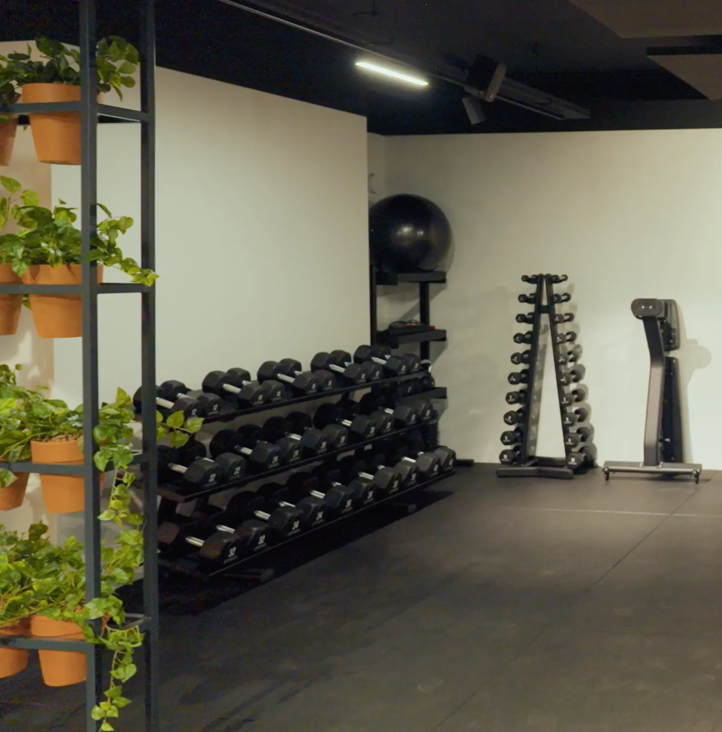 Overzicht van de Free Zone met dumbbells en trainingsruimte