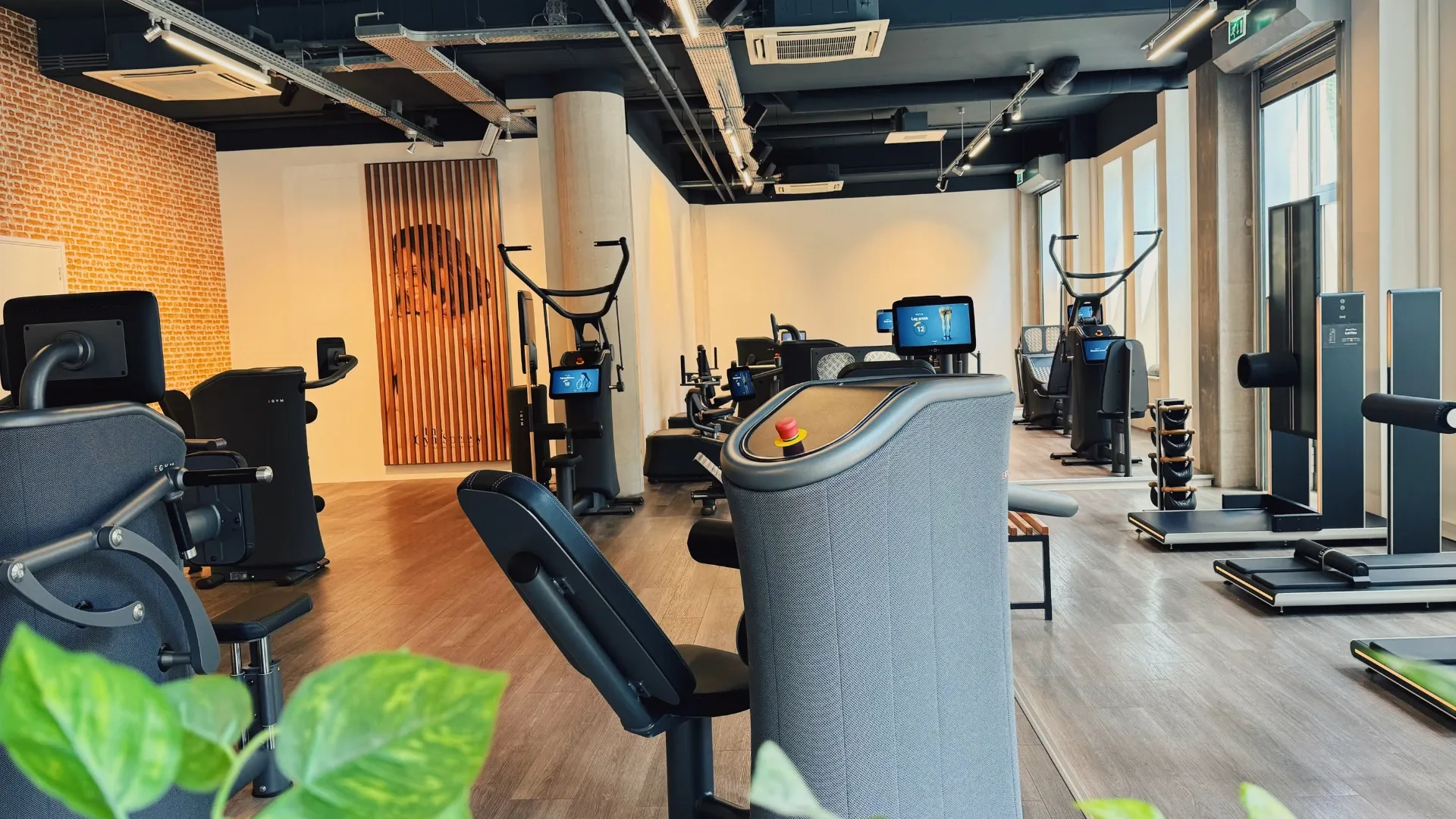 Sfeerfoto van The Gym Society Nijmegen