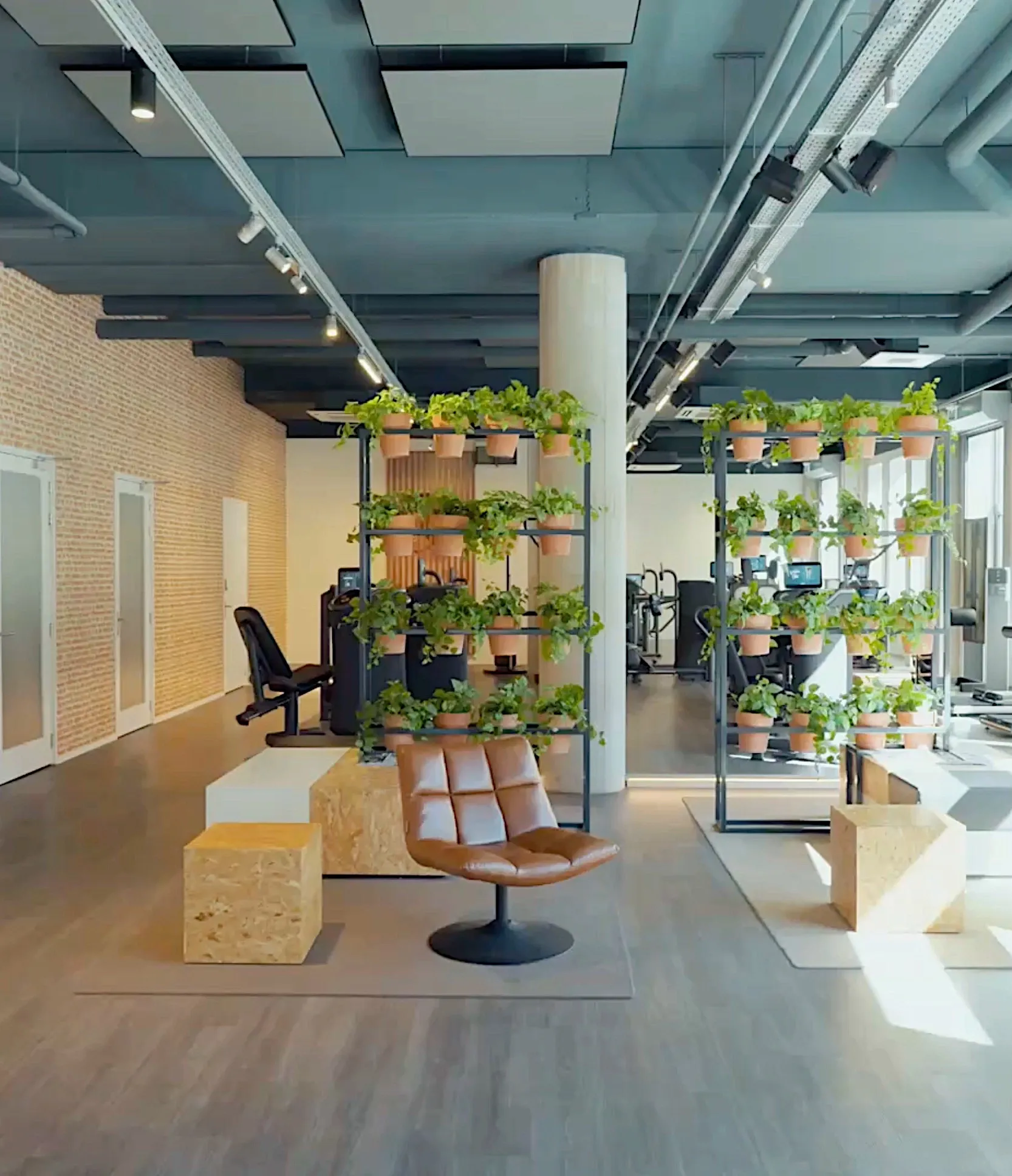 Overzicht van de studio met zitgedeelte en plantenrekken