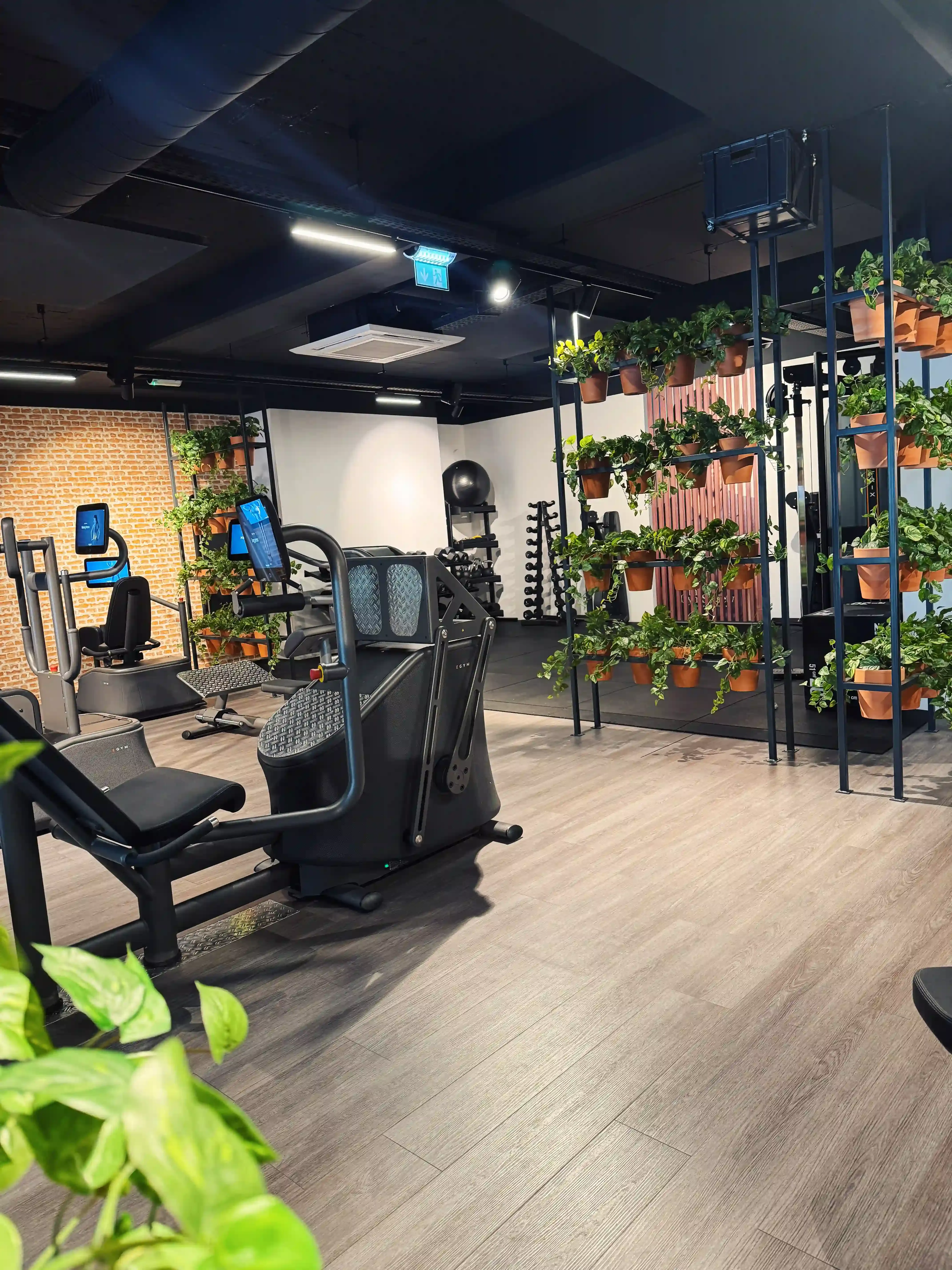 Sfeerfoto van The Gym Society Arnhem