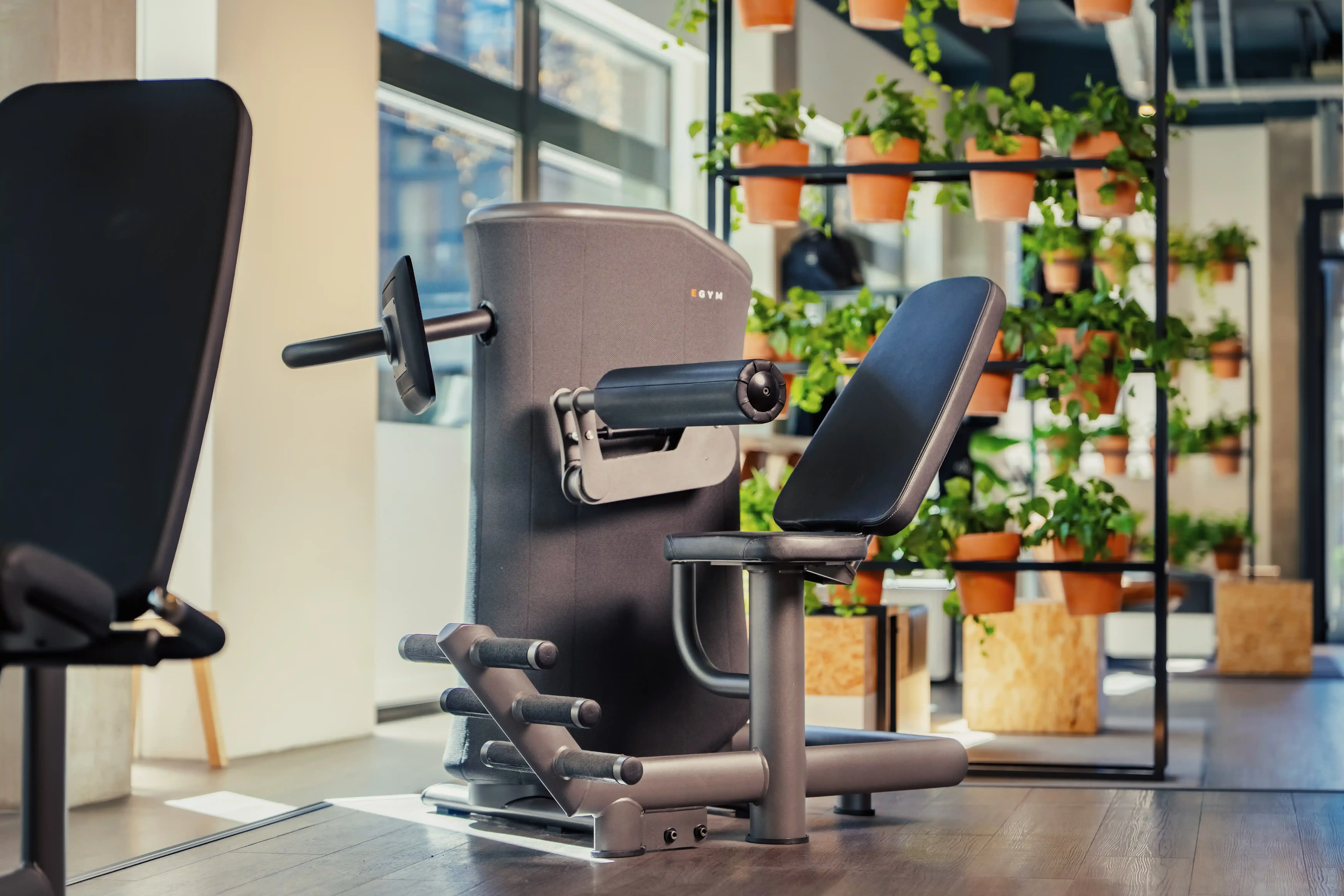 Slim krachttoestel in de rustige sfeer van The Gym Society