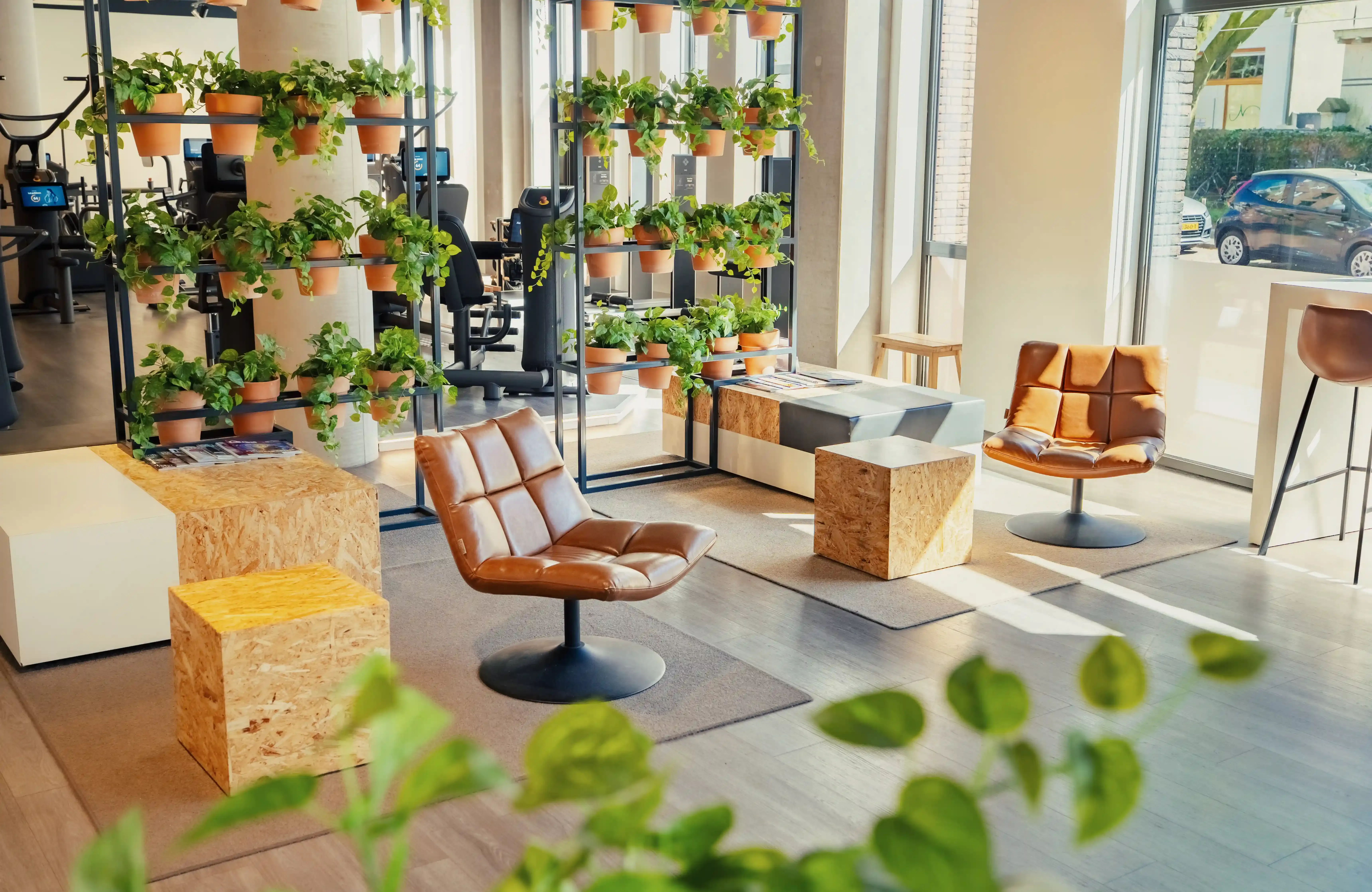 Lounge van The Gym Society met stoelen, daglicht en planten